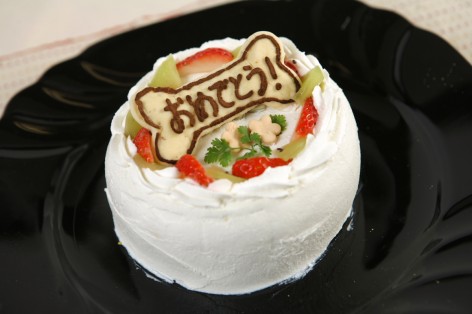 わんこのバースデーケーキ