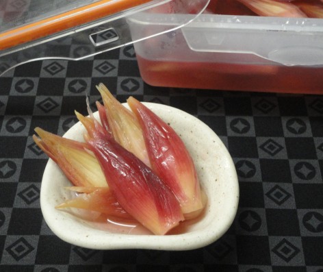 みょうがの甘酢漬け