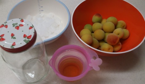 梅シロップ（材料）