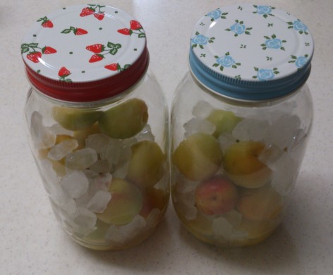 材料を入れたところ