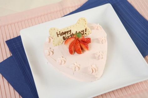 わんこのバースデーケーキ✩カッテージチーズとイチゴクリーム