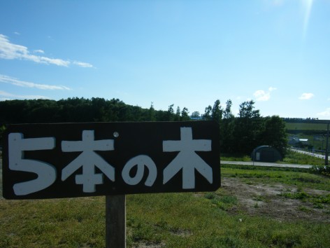 2013_07040087